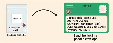 Send A Tick For Testing