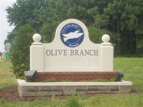 Send Flowers Olive Branch Ms