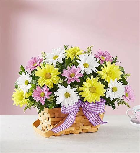 send flowers today canada