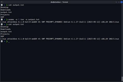 Send Output To Screen And File Linux