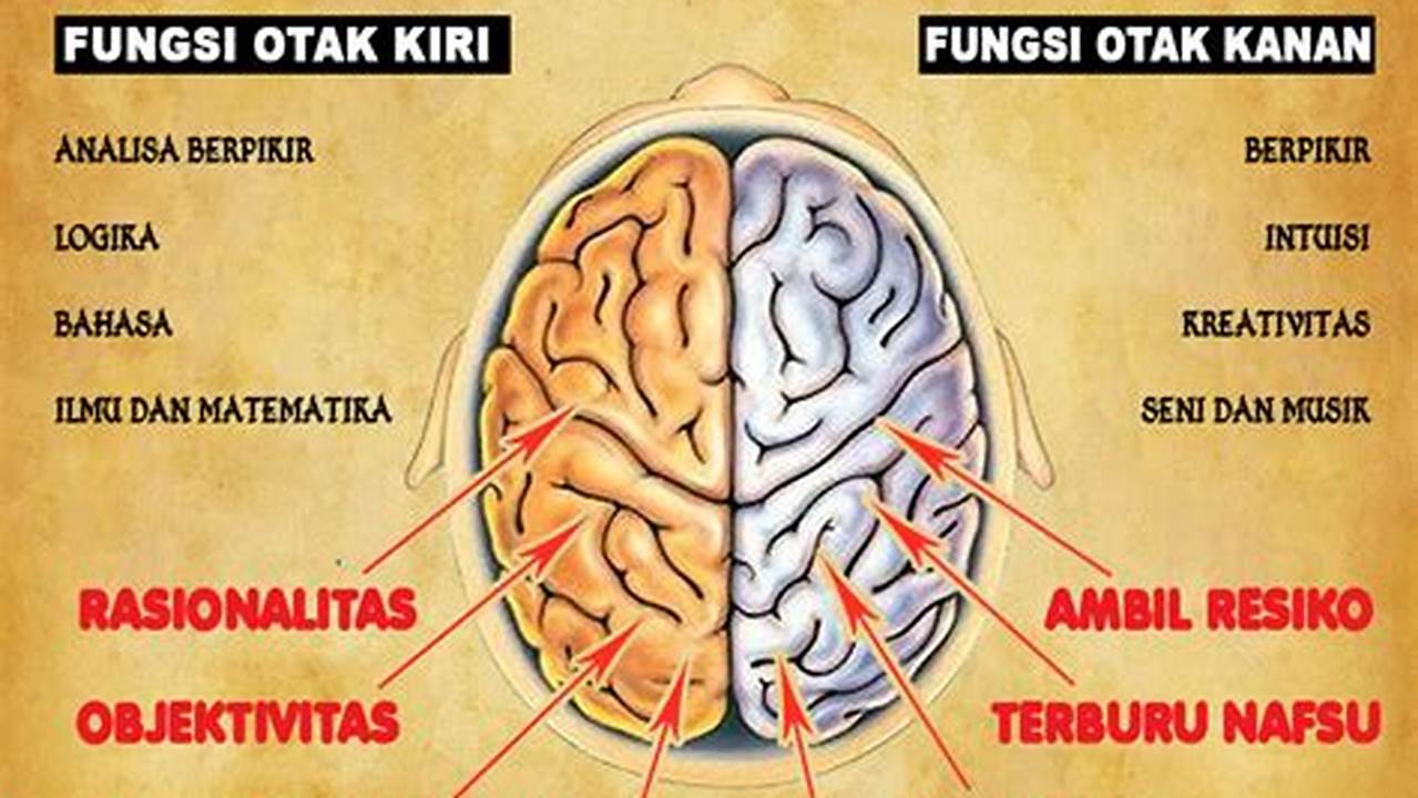 Seni Otak Kiri vs Kanan: Temukan Rahasia Pikiran Anda untuk Kreativitas dan Logika yang Lebih Baik