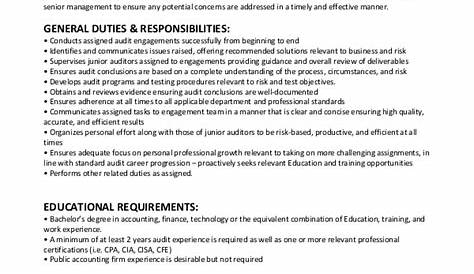 Financial Auditor Job Description | Velvet Jobs