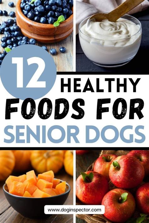 Senior dog diet