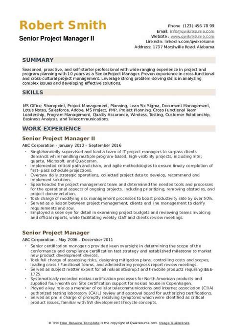 senior project manager cv