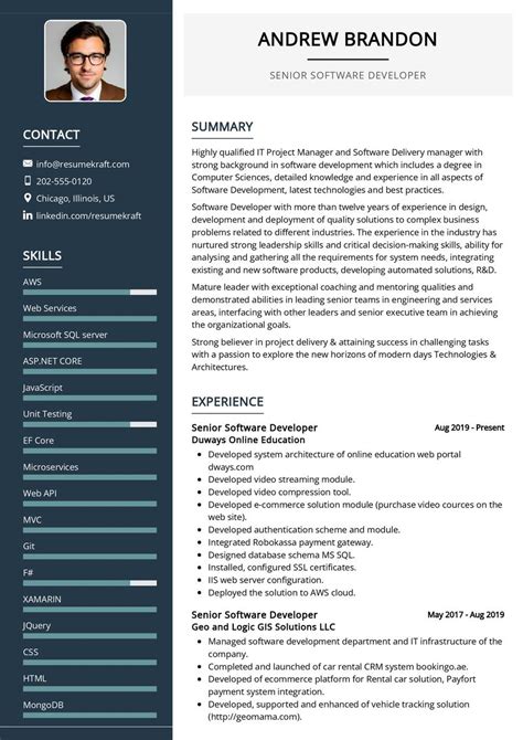 senior software developer cv example