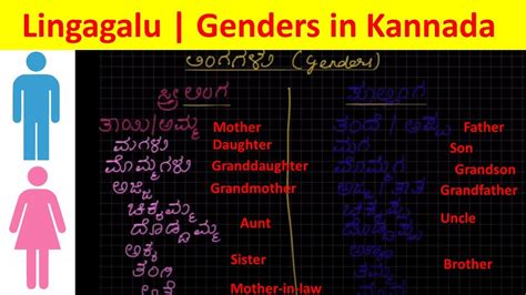 sensitive meaning in kannada with example