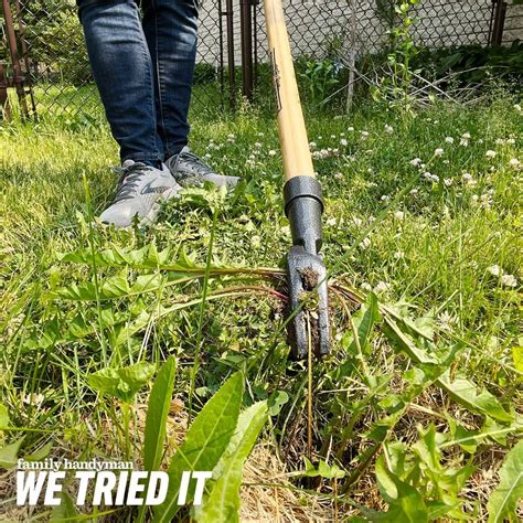 Sensitive Weed Removal Tool