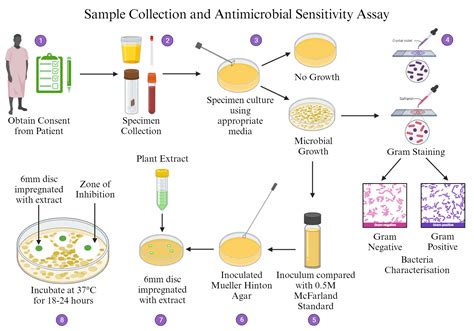 Sensitivity Assay