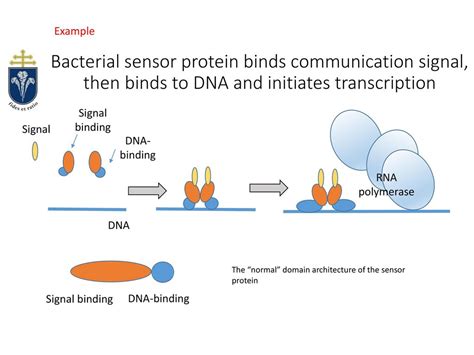 Sensor Protein Function