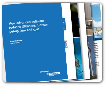 Sensor Software Cost