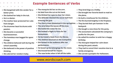 Sensor Verb Examples
