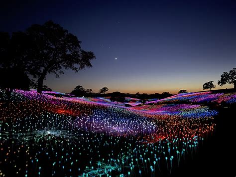 Sensorio Lights In Paso Robles