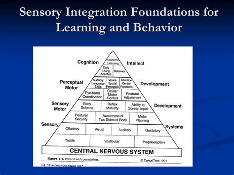 Sensory Integration Dysfunction Nhs