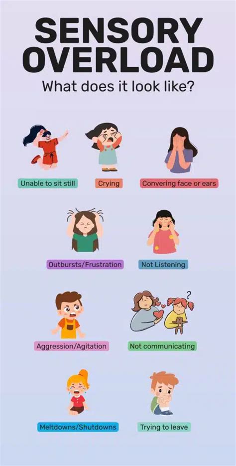 sensory overload chocolate