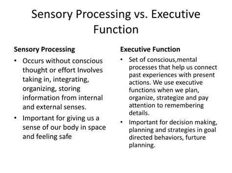 Sensory Processing Disorder Executive Function