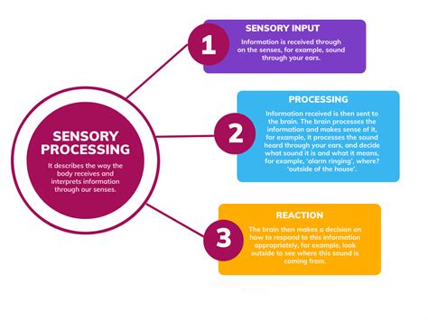 Sensory Processing Techniques