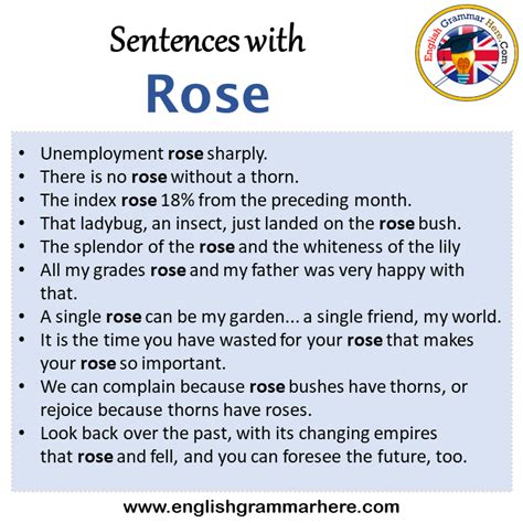 Sentence Of Rose Flower