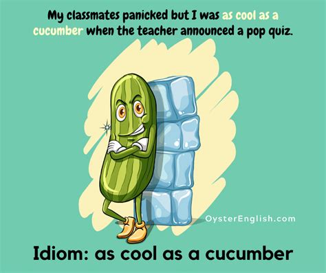 sentence using cool as a cucumber