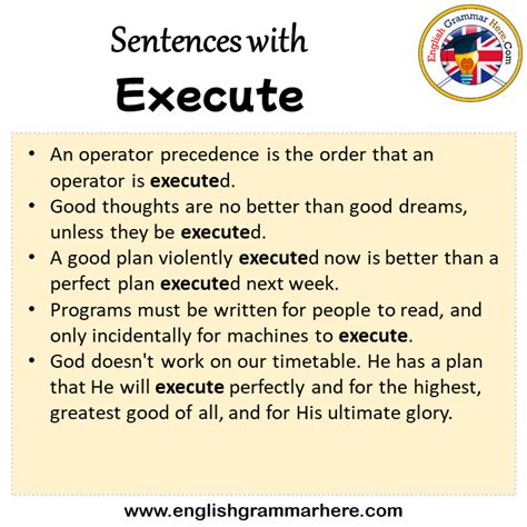 sentence using execute
