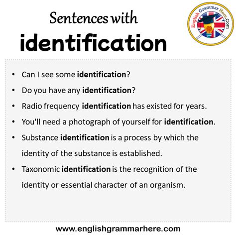 sentence using identification