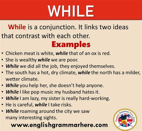 sentence using while example