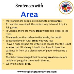 Sentence With Area
