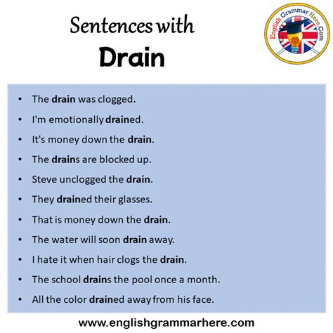 Sentences With Drain