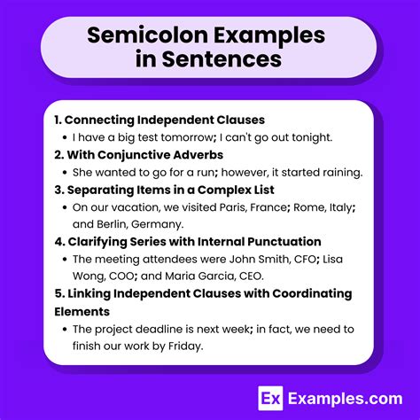 sentences with semicolon examples list