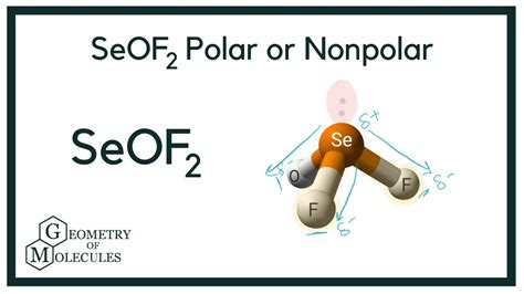 seof2 polar or nonpolar