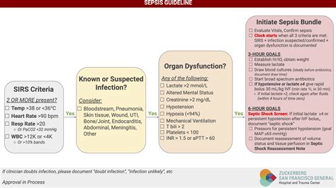 sepsis clinical practice guidelines