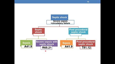 sepsis coding guidelines 2023