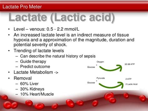 sepsis lactic acid level