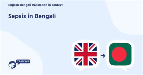 sepsis meaning in bengali