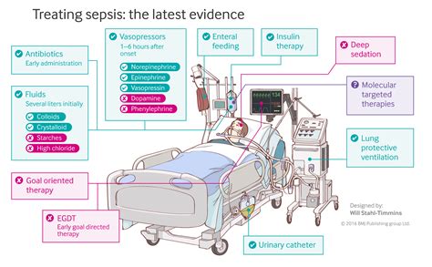 sepsis shock management