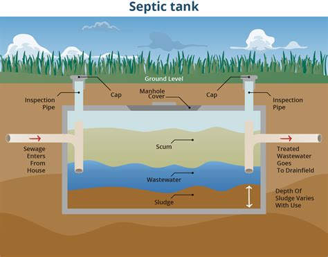 Kitchen Grease in Septic Tank YouTube