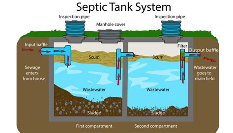 septic system and garbage disposal