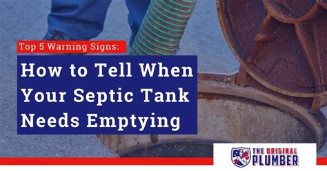 septic system emptying near me schedule
