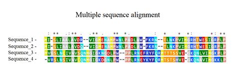 Sequence Alignment Tools Bioinformatics