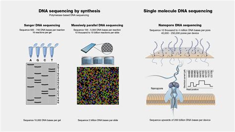 Sequencing Data Meaning