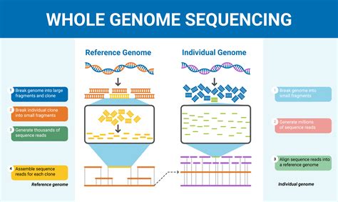 Sequencing Test Meaning