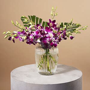 Serenata Same Day Flowers