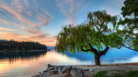 Serene Background Image