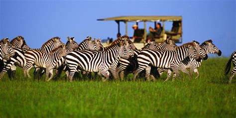 serengeti safari price