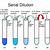 serial dilution and simple dilution