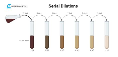 Serial Dilution Test Tubes