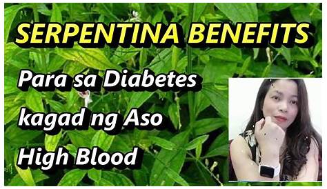 Serpentina Benefits Tagalog Mabisang Halamang Gamot Para Sa Insomnia Paravlogs