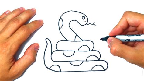 Cómo dibujar una Serpiente Paso a Paso y fácil YouTube