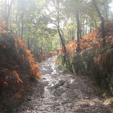 serra de canelas vila nova de gaia