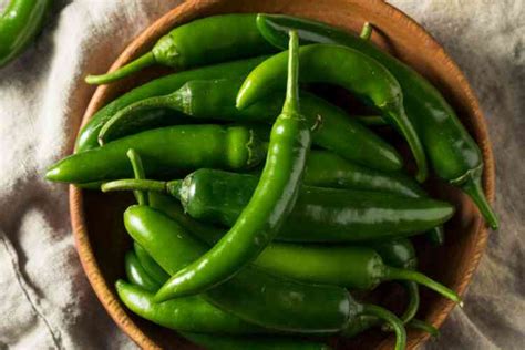 serrano green 6 pepper