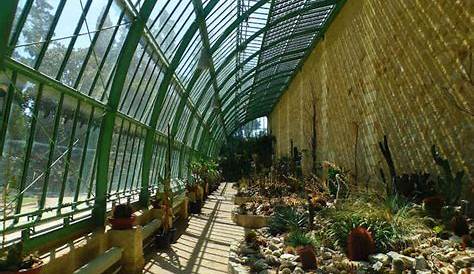 Serre Jardin Des Plantes Montpellier (Botanique) De Horaires